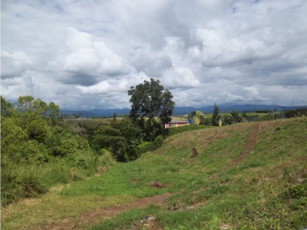 Lote en venta Caldas Manizales Sacatin Viejo 2590 m2 Habitaciones 0 Baños 0 Garajes 0 Precio $280000000
