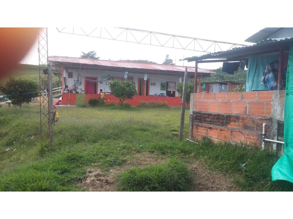 Finca en venta Caldas Pácora Pácora 100 m2 Habitaciones 0 Baños 0 Garajes 0 Precio $320000000