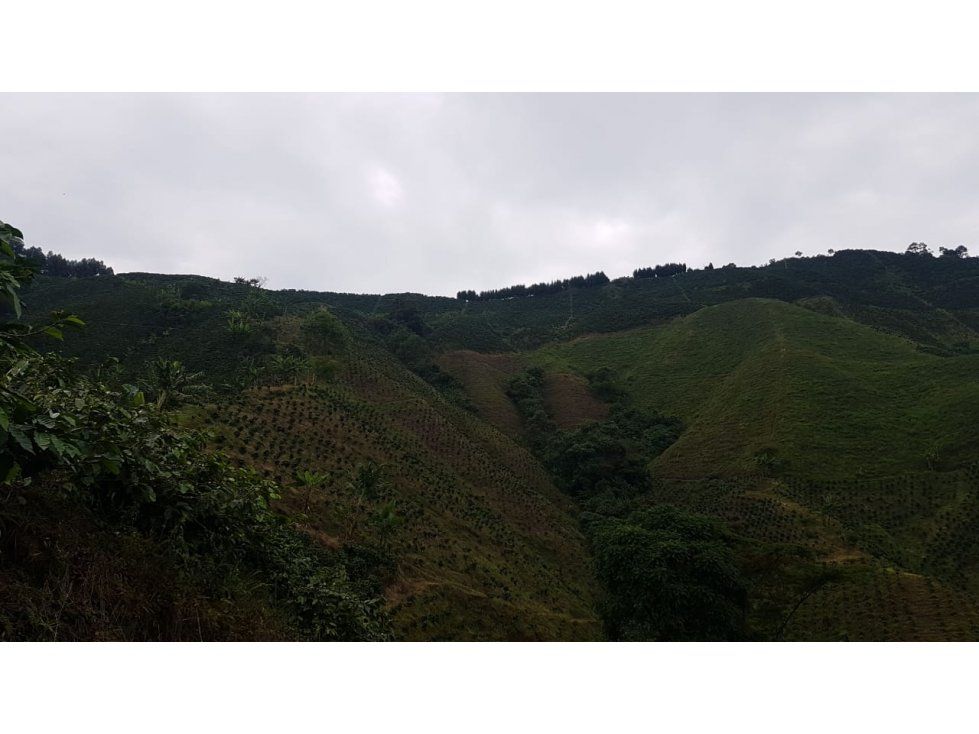 Finca en venta Caldas Manizales Manizales 217600 m2 Habitaciones 2 Baños 1 Garajes 3 Precio $1190000000