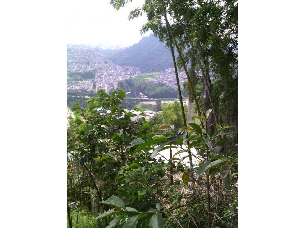 Casa en venta Caldas Villamaría Ub La Isabela 1148 m2 Habitaciones 2 Baños 1 Garajes 0 Precio $350000000