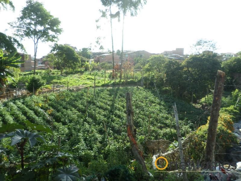 Lote en venta Antioquia Rionegro El Porvenir 927 m2 Habitaciones 0 Baños 0 Garajes 0 Precio $1300000000