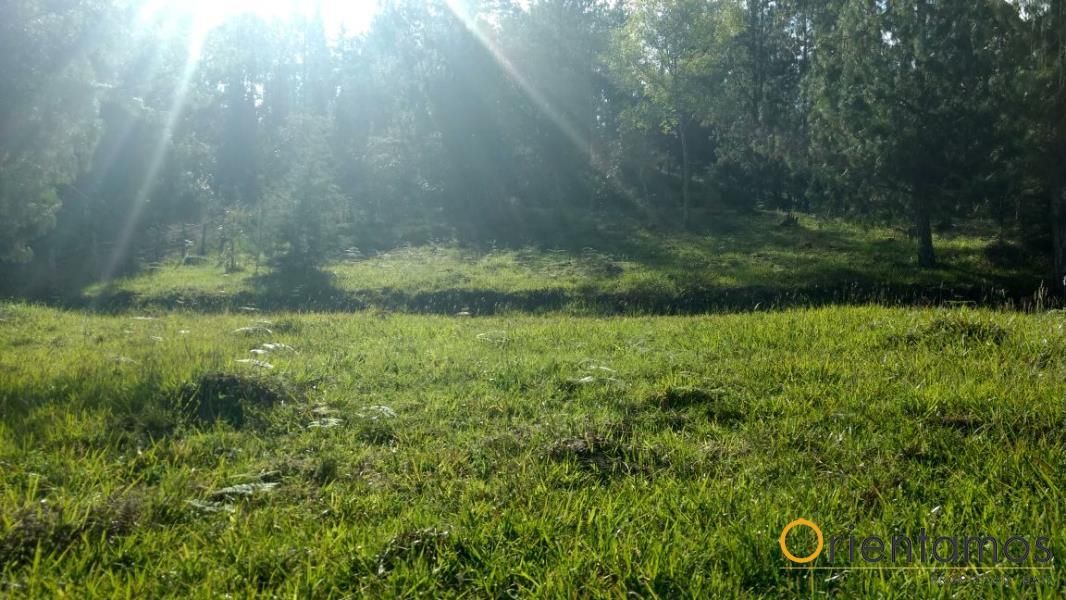 Lote en venta Antioquia El Retiro El Retiro 6400 m2 Habitaciones 0 Baños 0 Garajes 0 Precio $1400000000