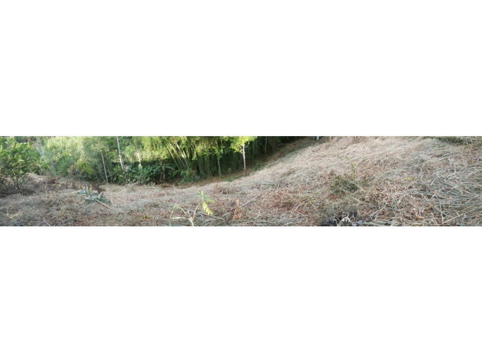 Lote en venta Quindío Calarcá Calarcá 6400 m2 Habitaciones 0 Baños 0 Garajes 0 Precio $500000000