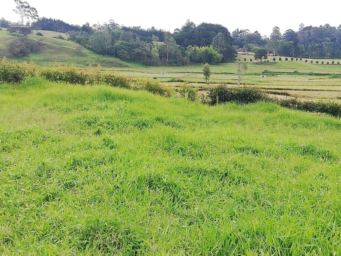 Lote en venta Antioquia El Carmen De Viboral El Carmen De Viboral 2662 m2 Habitaciones 0 Baños 0 Garajes 0 Precio $580000000