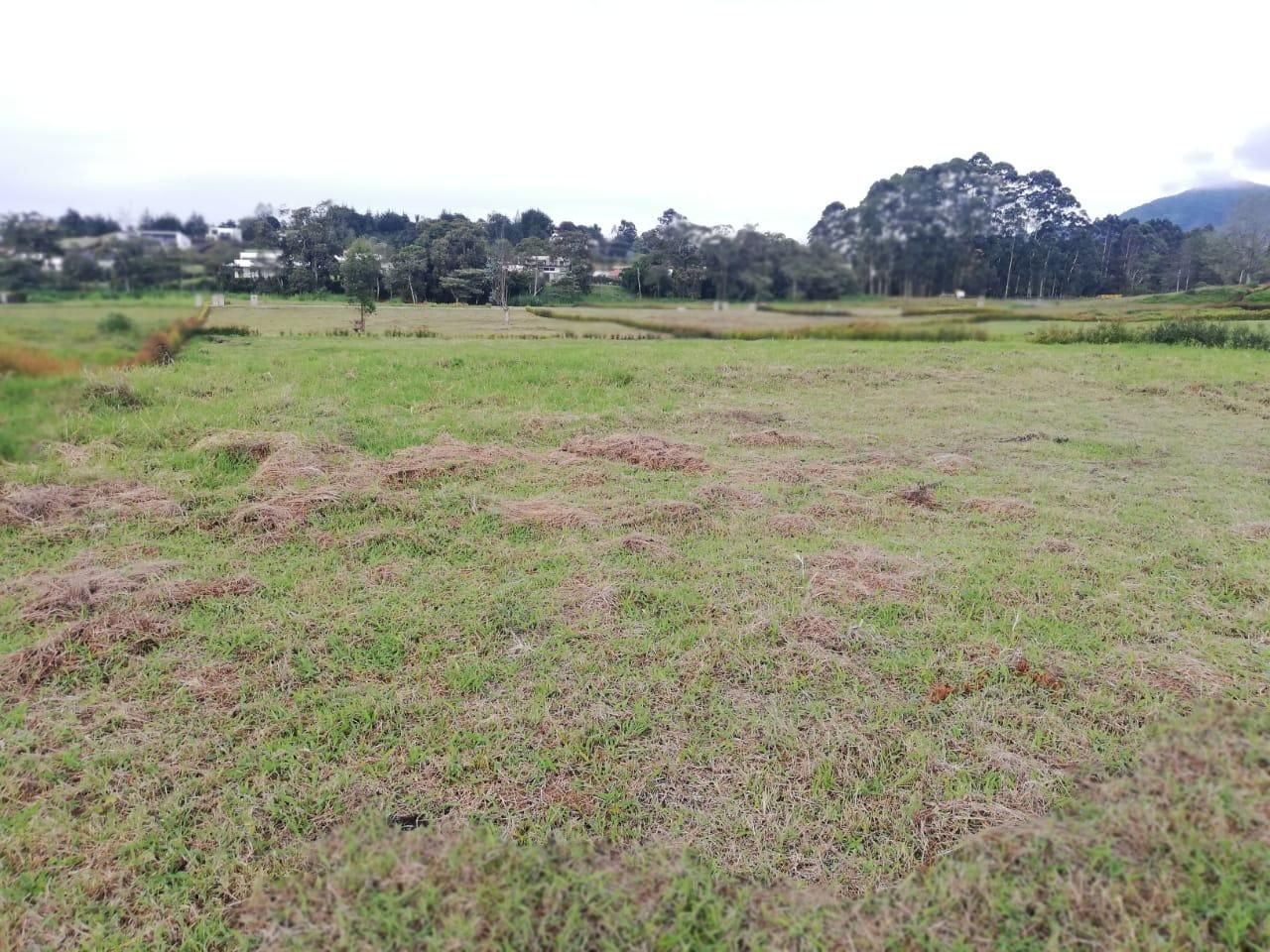 Lote en venta Antioquia El Carmen De Viboral El Carmen De Viboral 2649 m2 Habitaciones 0 Baños 0 Garajes 0 Precio $510000000