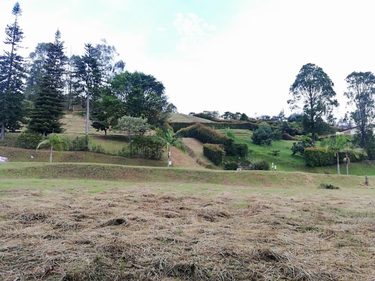 Lote en venta Antioquia El Carmen De Viboral El Carmen De Viboral 2515 m2 Habitaciones 0 Baños 0 Garajes 0 Precio $630000000