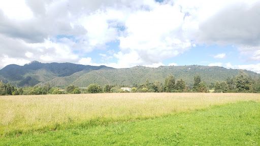 Lote en venta Cundinamarca Tenjo Tenjo 42424 m2 Habitaciones 0 Baños 0 Garajes 0 Precio $3300000000