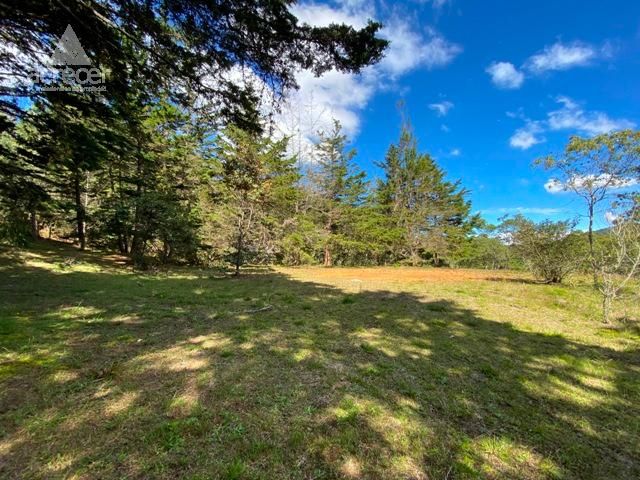 Lote en venta Antioquia Envigado La Mesa 13432 m2 Habitaciones 0 Baños 0 Garajes 0 Precio $5373000000