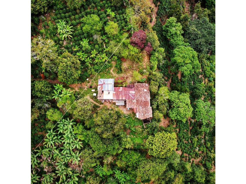 Finca en venta Quindío Génova Génova 60 m2 Habitaciones 4 Baños 1 Garajes 0 Precio $250000000