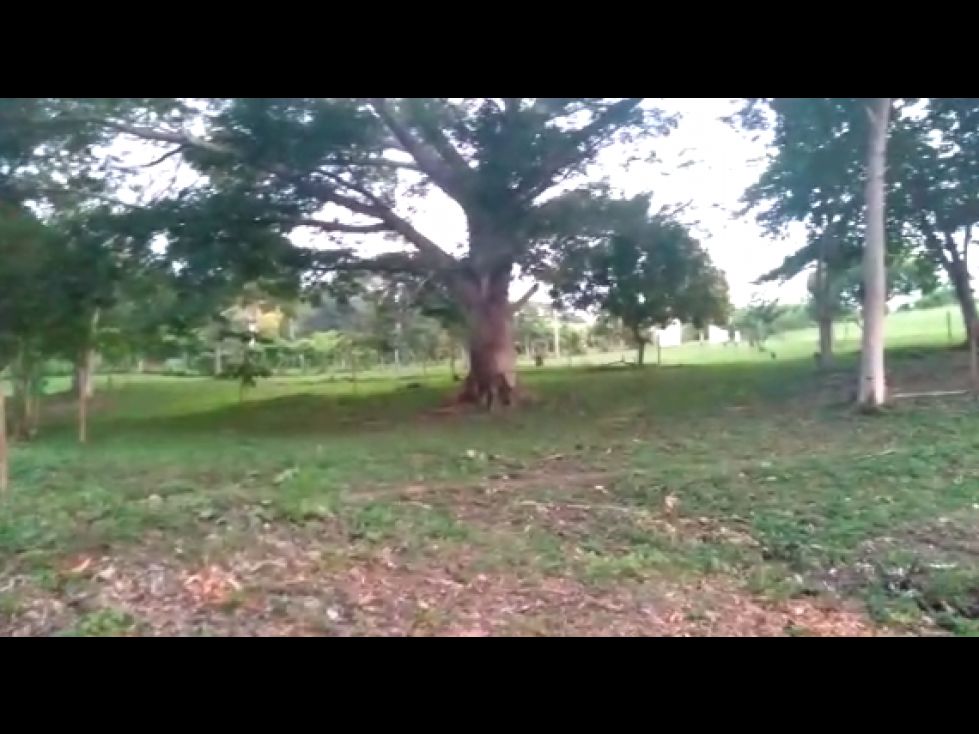 Lote en venta Bolívar Cartagena Zaragocilla 1066 m2 Habitaciones 0 Baños 10 Garajes 1 Precio $192000000