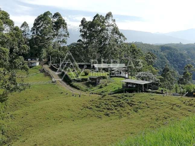 Finca en venta Risaralda Pereira Pereira 450 m2 Habitaciones 0 Baños 10 Garajes 1 Precio $4500000000