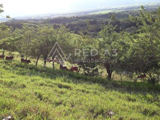 Finca en venta Valle Del Cauca Obando Obando 150 m2 Habitaciones 3 Baños 2 Garajes 5 Precio $1326000000