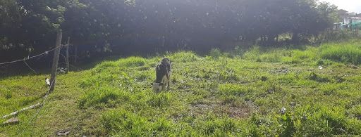 Lote en venta Cundinamarca Cota Cota 841 m2 Habitaciones 0 Baños 0 Garajes 0 Precio $700000000