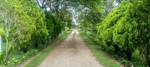 Lote en venta Tolima Guamo Guamo 1690000 m2 Habitaciones 0 Baños 10 Garajes 1 Precio $13000000000