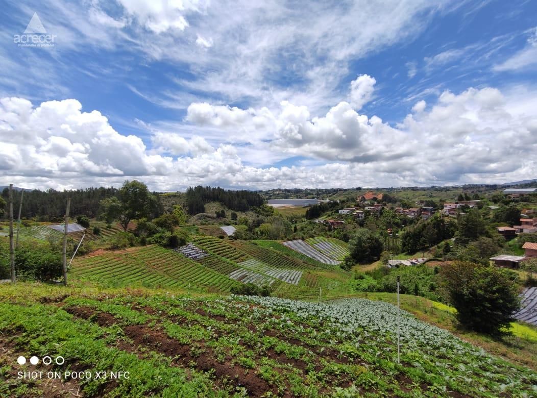 Lote en venta Antioquia Rionegro El Porvenir 74944 m2 Habitaciones 0 Baños 0 Garajes 0 Precio $14998800000