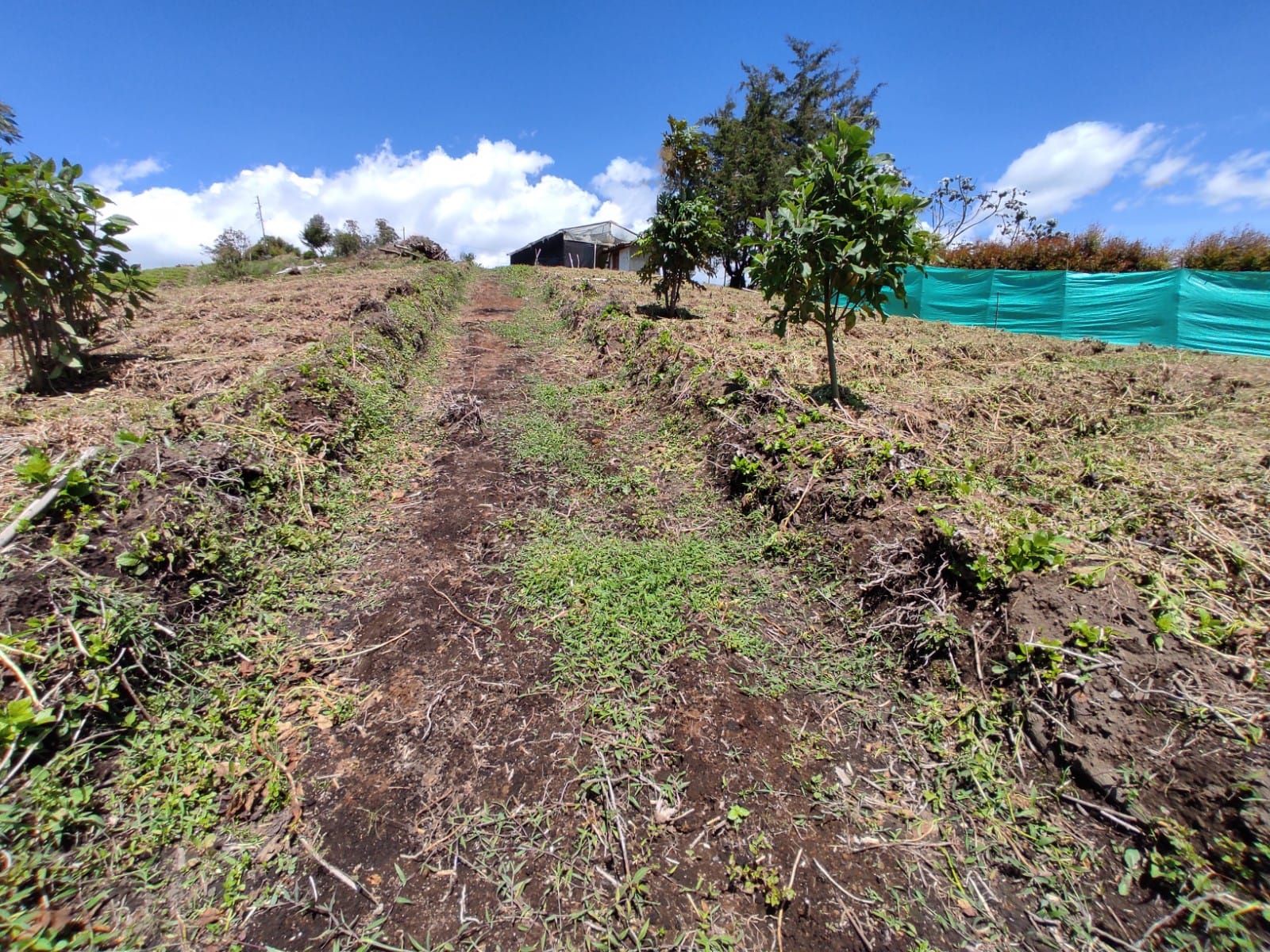 Lote en venta Antioquia El Carmen De Viboral Buenos Aires 0 m2 Habitaciones 0 Baños 10 Garajes 1 Precio $475000000