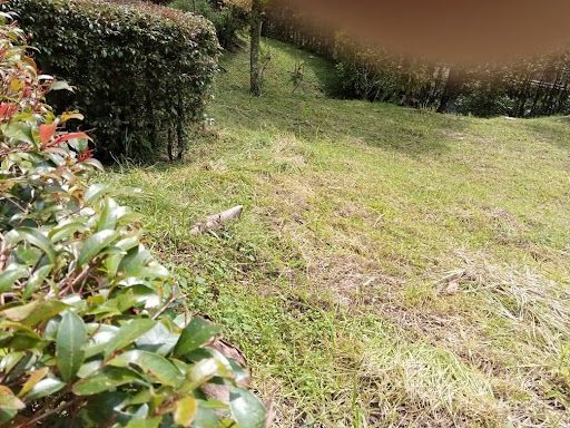 Lote en venta Antioquia Envigado Hacienda San Jorge 0 m2 Habitaciones 0 Baños 10 Garajes 1 Precio $1190000000