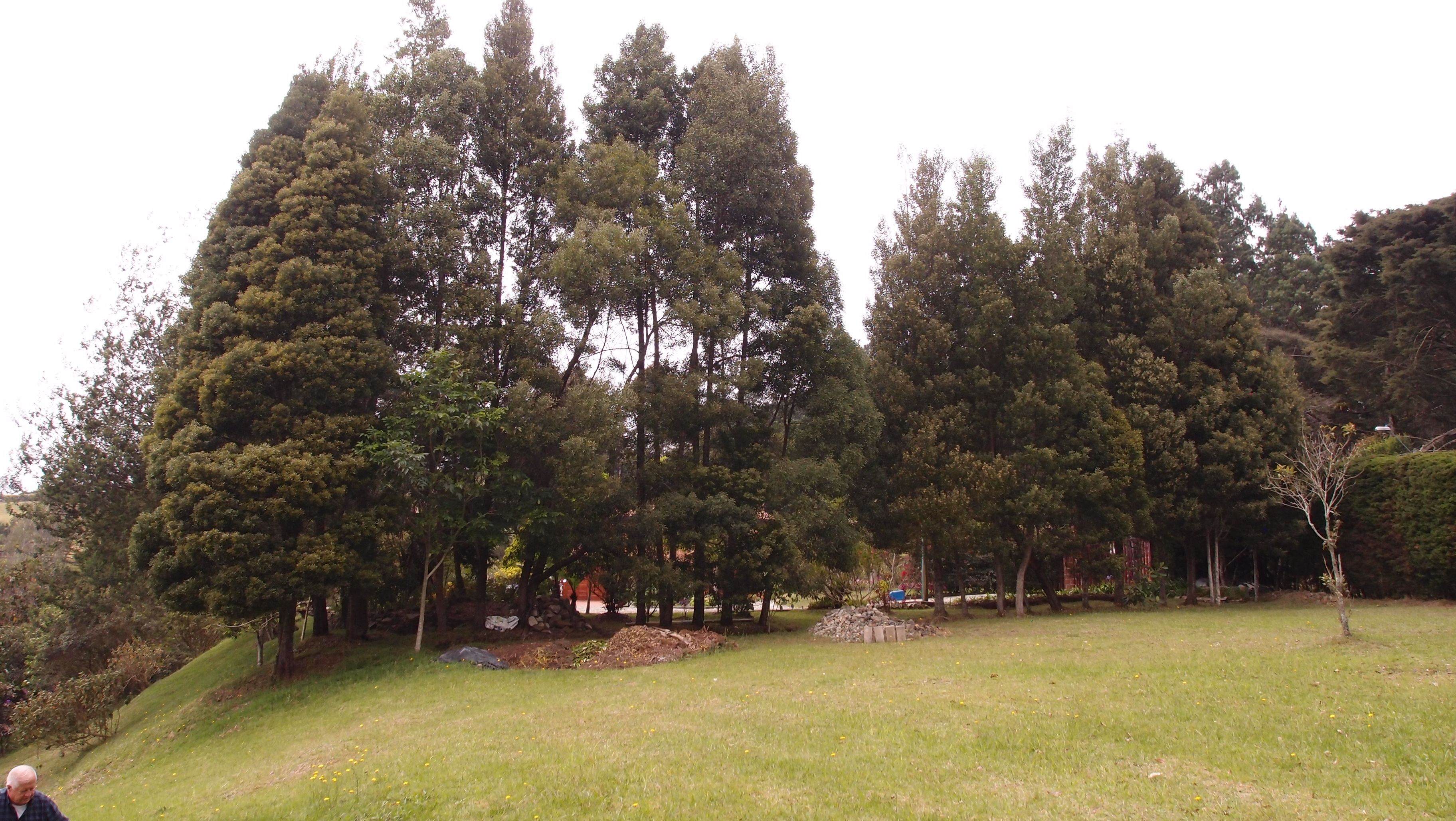 Finca en venta Antioquia Medellín Medellín 238 m2 Habitaciones 4 Baños 3 Garajes 2 Precio $1450000000