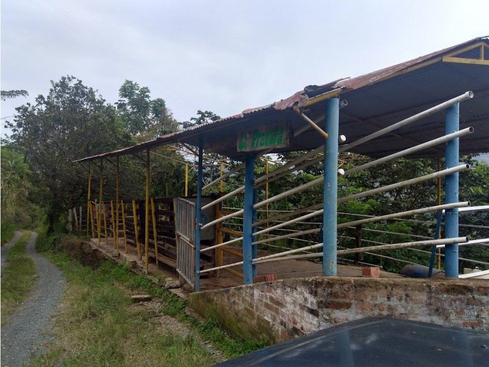 Finca en venta Caldas Belalcázar Belalcázar 50 m2 Habitaciones 2 Baños 0 Garajes 3 Precio $521000000