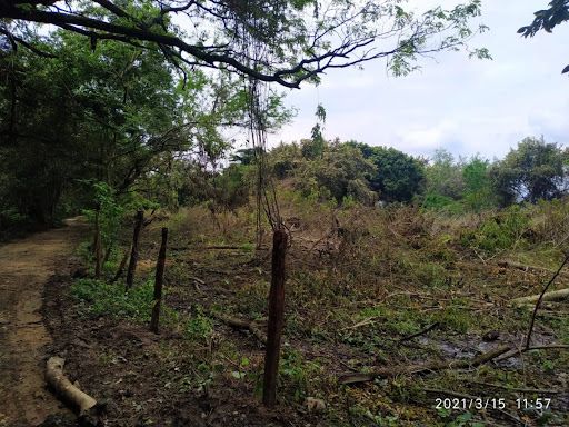 Lote en venta Huila Rivera Otros 1 m2 Habitaciones 0 Baños 10 Garajes 1 Precio $1350000000