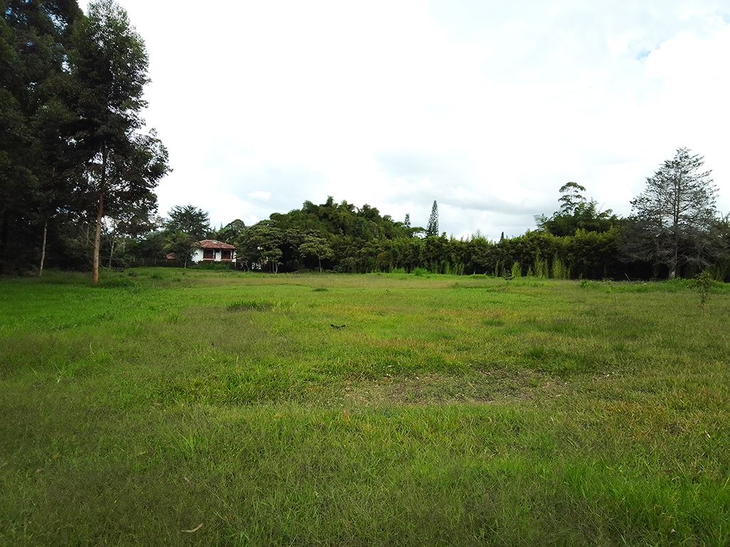 Lote en venta Antioquia Rionegro Santa Ana 0 m2 Habitaciones 0 Baños 10 Garajes 1 Precio $3650000000