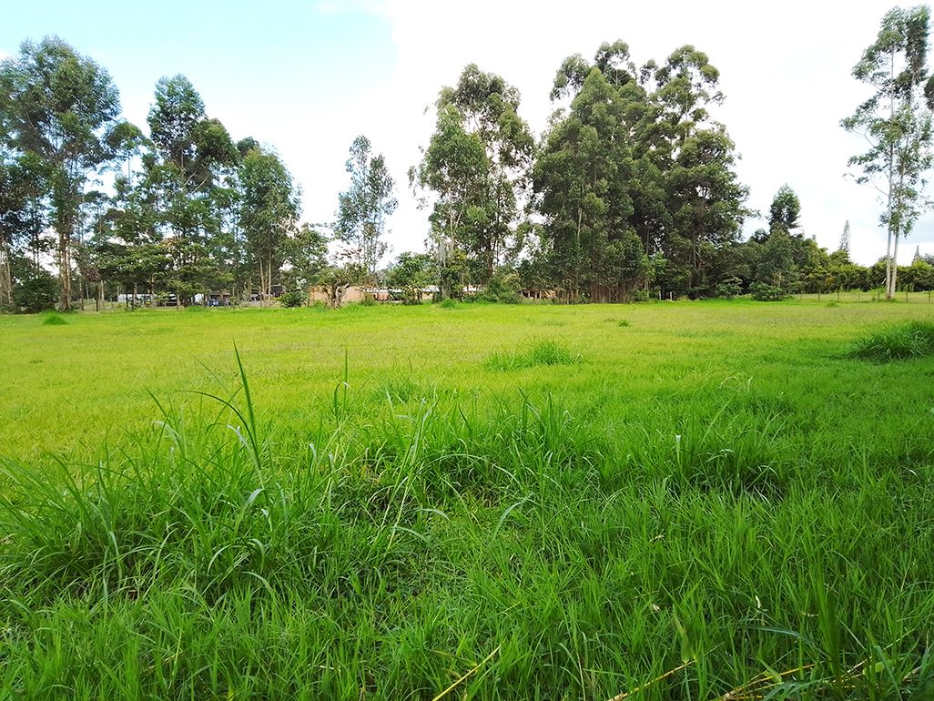 Lote en venta Antioquia Rionegro Santa Ana 0 m2 Habitaciones 0 Baños 10 Garajes 1 Precio $4300000000