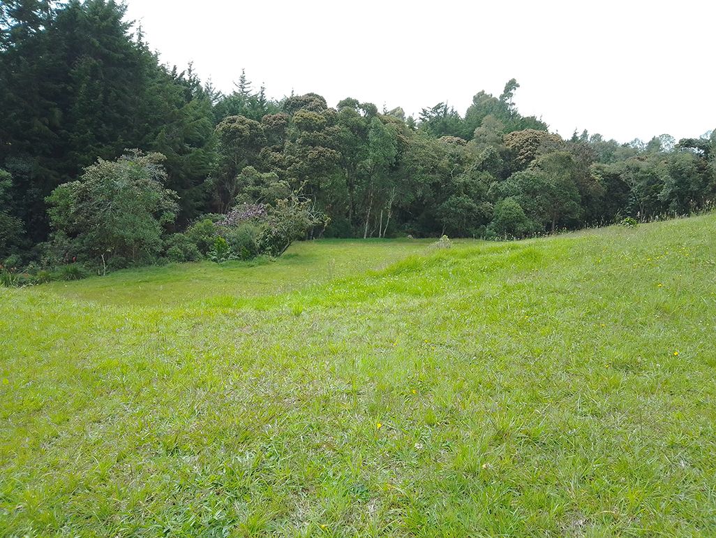 Lote Rural en venta Antioquia Rionegro Santa Ana 0 m2 Habitaciones 0 Baños 10 Garajes 1 Precio $920000000