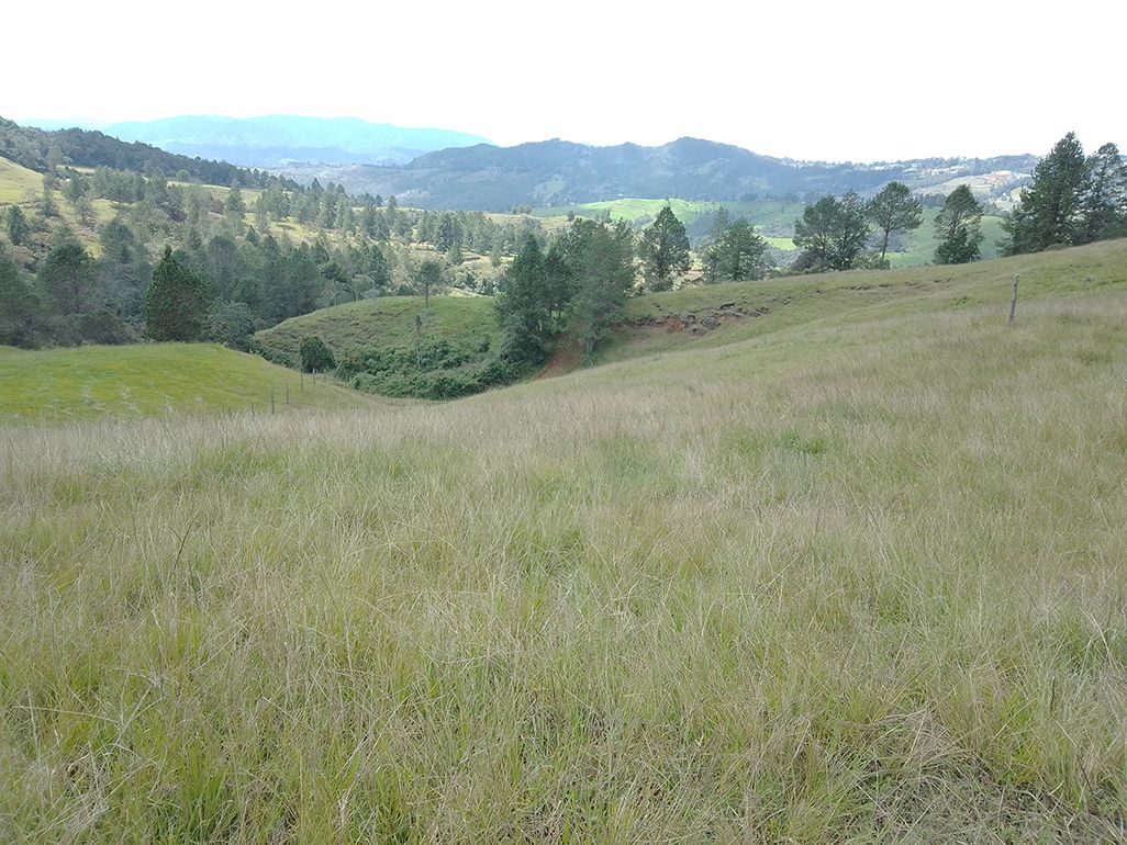 Lote Rural en venta Antioquia Rionegro Santa Ana 0 m2 Habitaciones 0 Baños 10 Garajes 1 Precio $1000000000