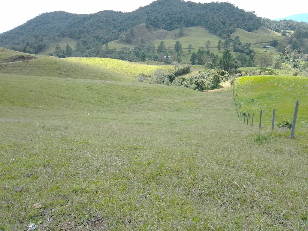 Lote Rural en venta Antioquia Rionegro Santa Ana 0 m2 Habitaciones 0 Baños 10 Garajes 1 Precio $1000000000