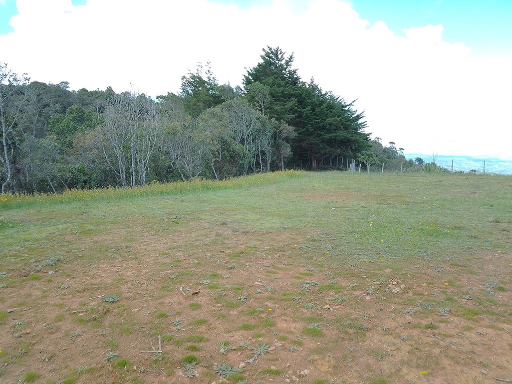 Lote Rural en venta Antioquia Rionegro Santa Ana 0 m2 Habitaciones 0 Baños 10 Garajes 1 Precio $1590000000