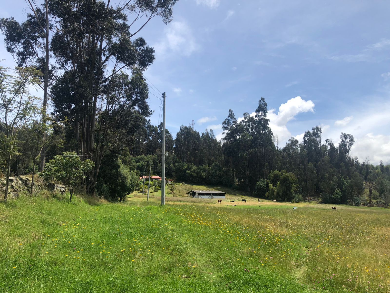 Finca en venta Cundinamarca Suesca Suesca 436 m2 Habitaciones 9 Baños 13 Garajes 12 Precio $910000000