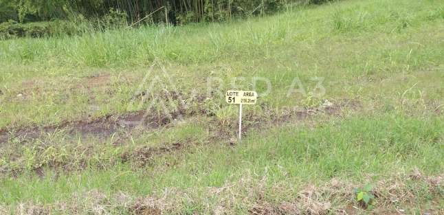 Lote en venta Risaralda Pereira Pereira 1 m2 Habitaciones 0 Baños 10 Garajes 1 Precio $905629000