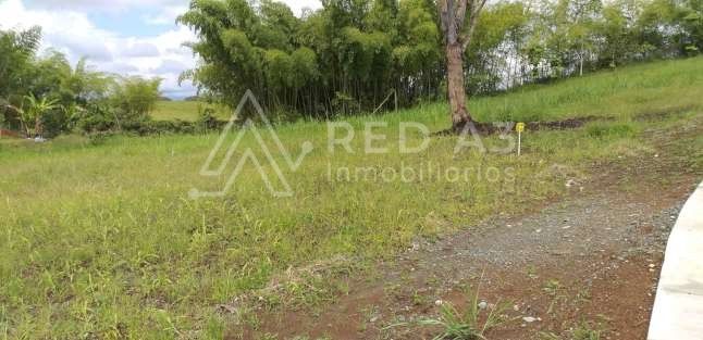 Lote en venta Risaralda Pereira Pereira 1 m2 Habitaciones 0 Baños 10 Garajes 1 Precio $998688000