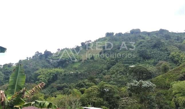 Lote en venta Risaralda Pereira Pereira 1 m2 Habitaciones 0 Baños 10 Garajes 1 Precio $200000000