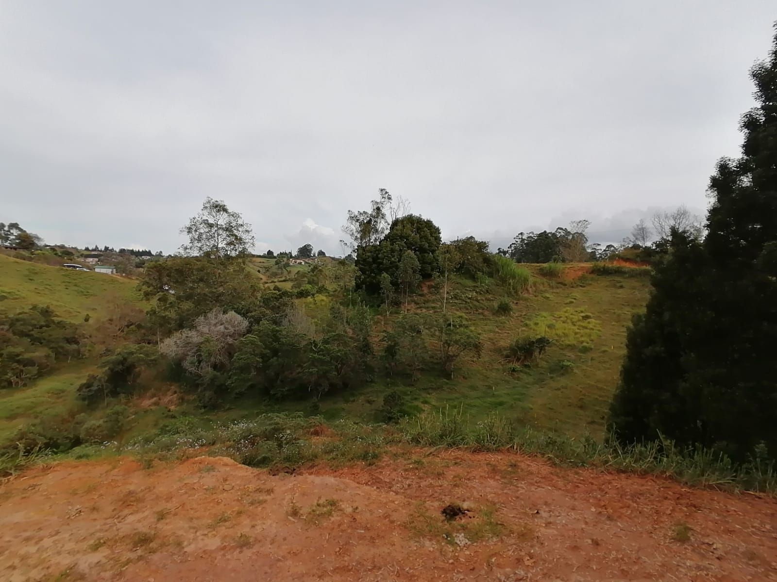 Lote en venta Antioquia Rionegro Vereda Cuchillas De San José 0 m2 Habitaciones 0 Baños 10 Garajes 1 Precio $931000000