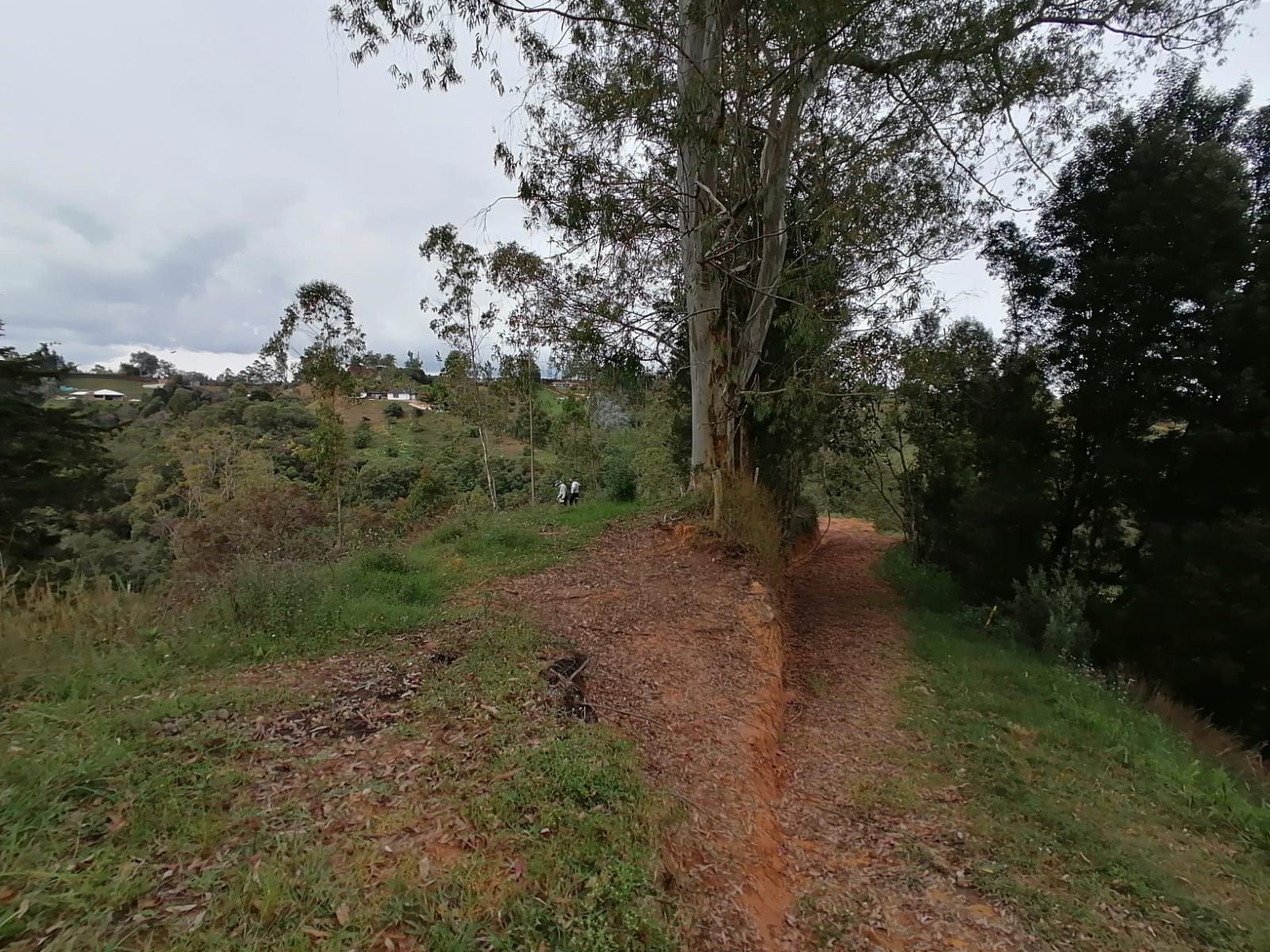 Lote en venta Antioquia Rionegro Santa Ana 3026 m2 Habitaciones 0 Baños 0 Garajes 1 Precio $420000000