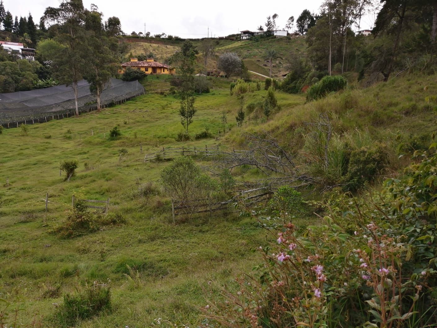 Lote en venta Antioquia Rionegro Santa Ana 0 m2 Habitaciones 0 Baños 10 Garajes 1 Precio $2310300000