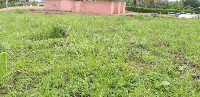 Lote en venta Risaralda Pereira Pereira 1 m2 Habitaciones 0 Baños 10 Garajes 1 Precio $650000000