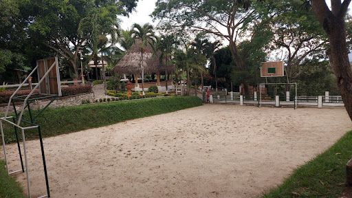 Finca en venta Tolima Alvarado Alvarado 60000 m2 Habitaciones 0 Baños 25 Garajes 1 Precio $3800000000