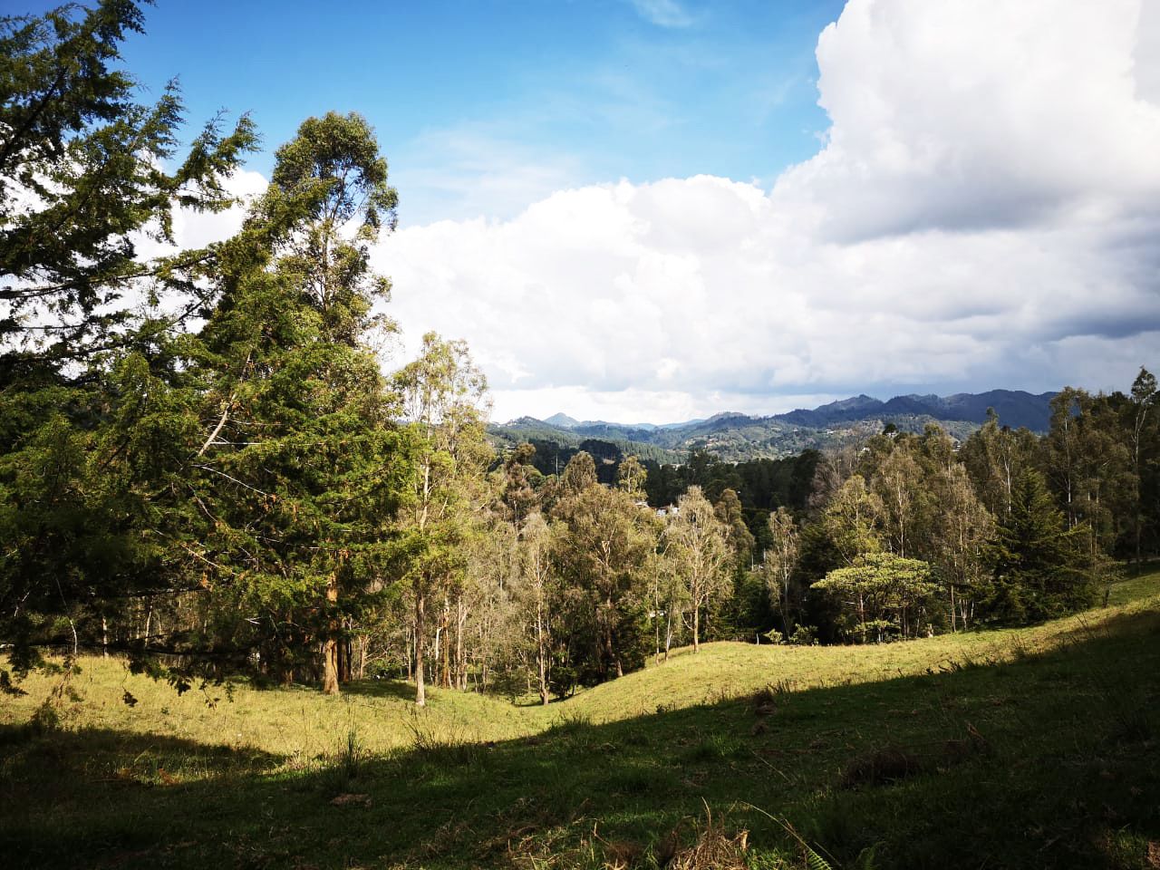 Lote en venta Antioquia El Retiro La Fé 0 m2 Habitaciones 0 Baños 10 Garajes 1 Precio $4600000000