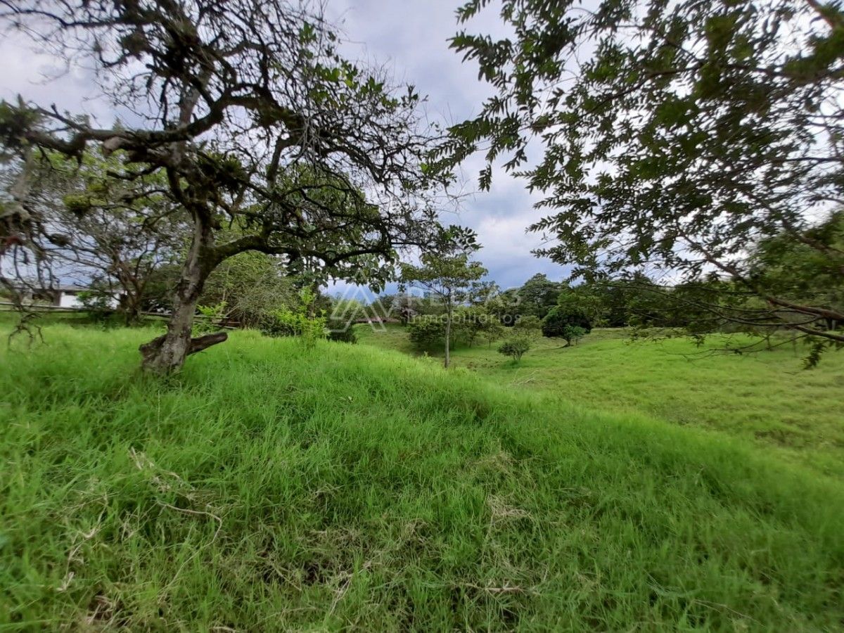 Lote en venta Risaralda Pereira Br Jardin Ii Etapa 0 m2 Habitaciones 0 Baños 10 Garajes 1 Precio $485000000