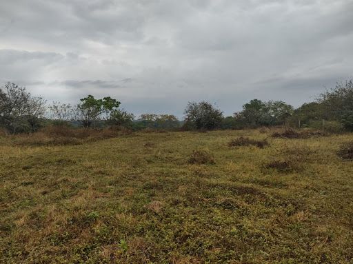 Lote en venta Huila Palermo Otros 1 m2 Habitaciones 0 Baños 10 Garajes 1 Precio $2400000000