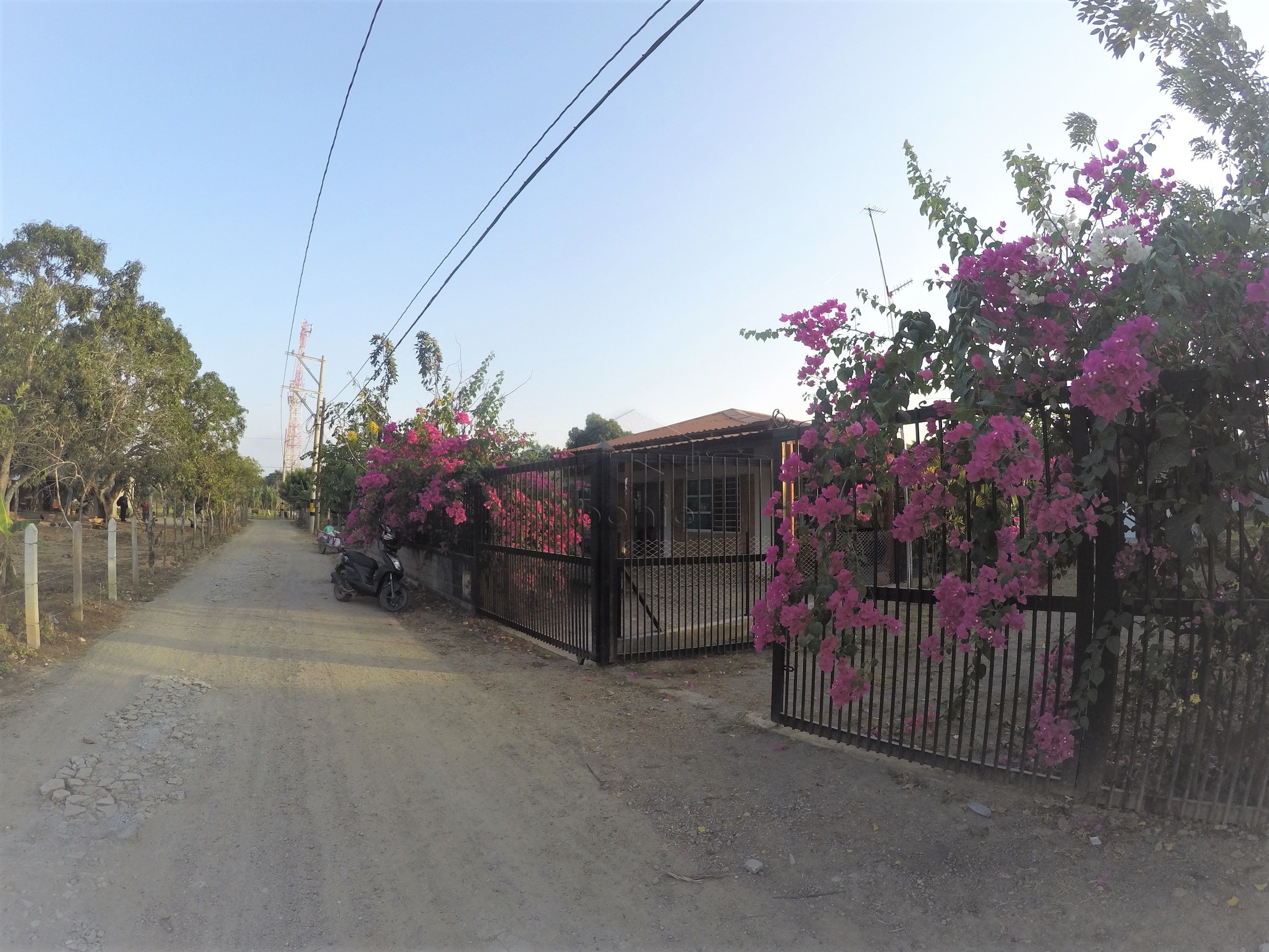 Apartaestudio en arriendo o venta Córdoba Montería El Ceibal 45 m2 Habitaciones 1 Baños 0 Garajes 1 Precio venta $150000000 Precio arriendo $500000