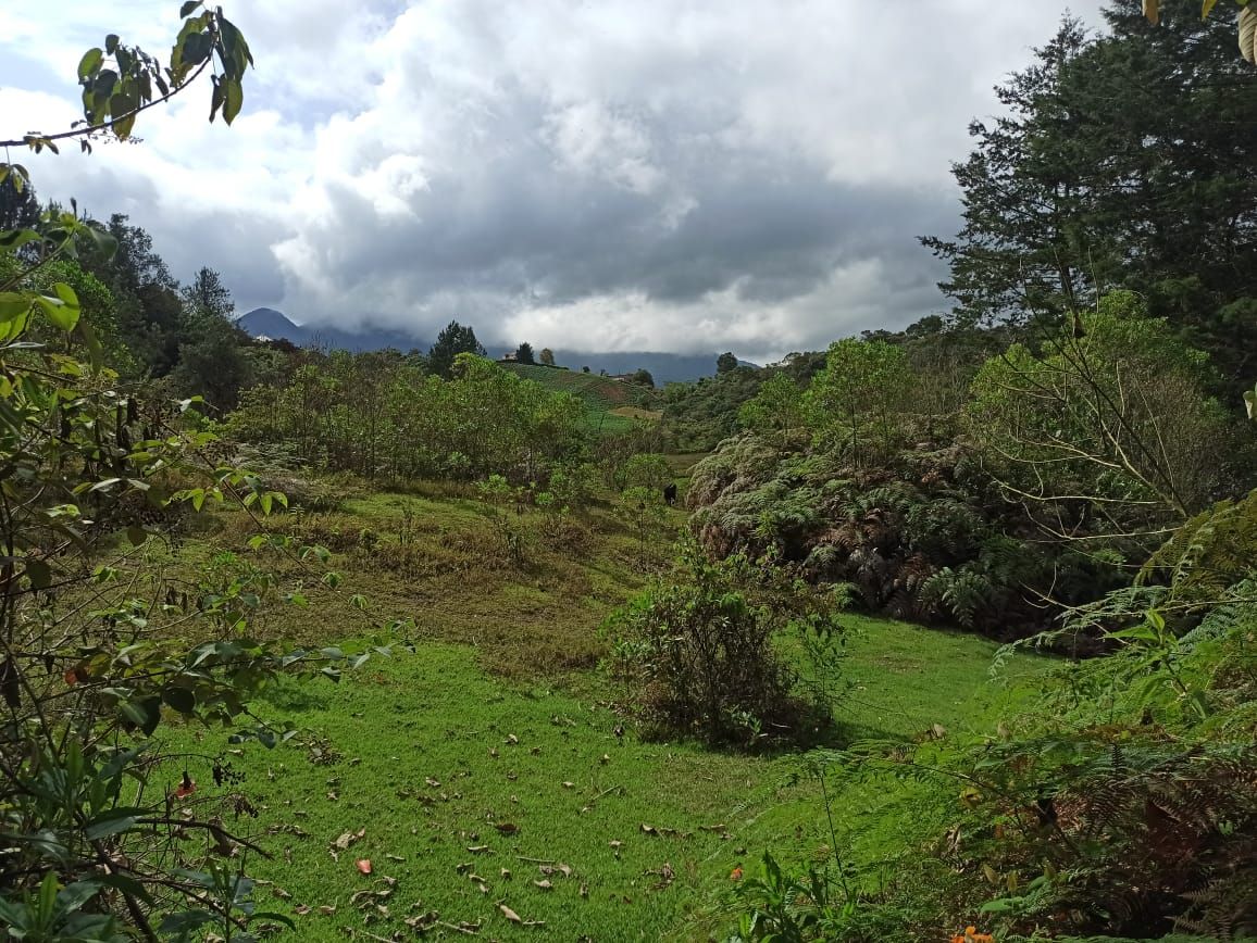 Lote en venta Antioquia El Carmen De Viboral Otros 0 m2 Habitaciones 0 Baños 10 Garajes 1 Precio $4550000000