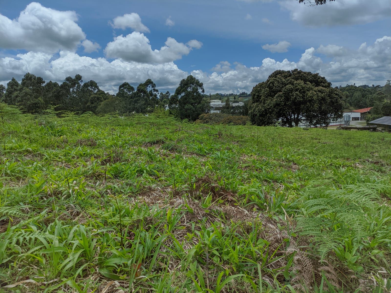 Lote Rural en venta Antioquia Rionegro Santa Ana 0 m2 Habitaciones 0 Baños 10 Garajes 1 Precio $510000000