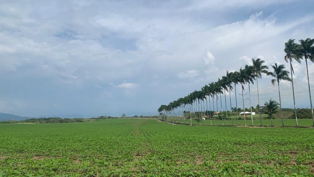 Lote Urbano en venta Risaralda Pereira Pereira 1500 m2 Habitaciones 0 Baños 10 Garajes 1 Precio $180000000