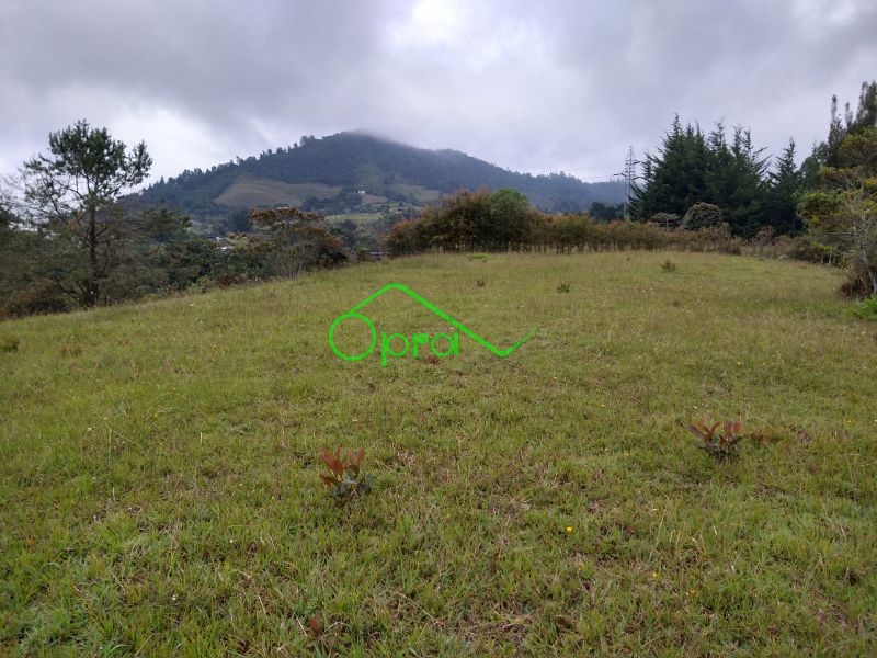 Lote en venta Antioquia La Ceja La Ceja 3843 m2 Habitaciones 0 Baños 0 Garajes 0 Precio $750000000