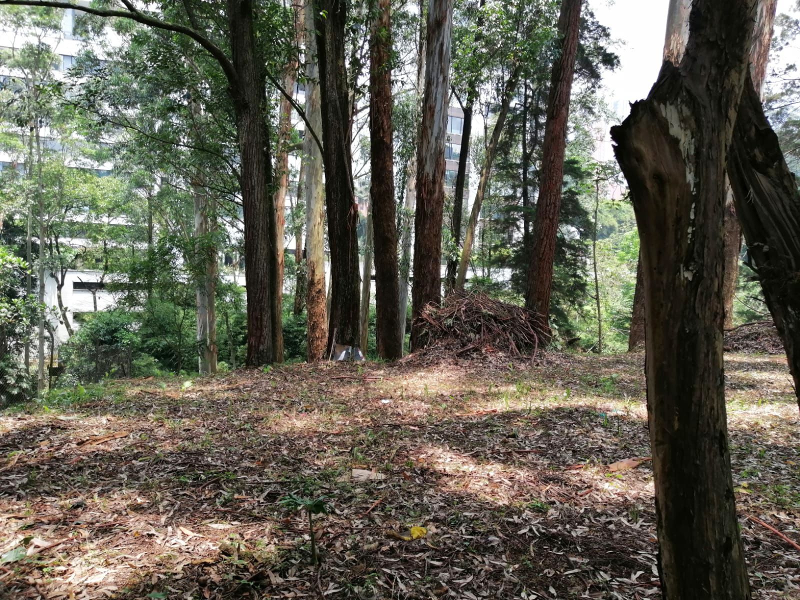 Lote en venta Antioquia Medellín San Lucas 0 m2 Habitaciones 0 Baños 10 Garajes 1 Precio $6100000000