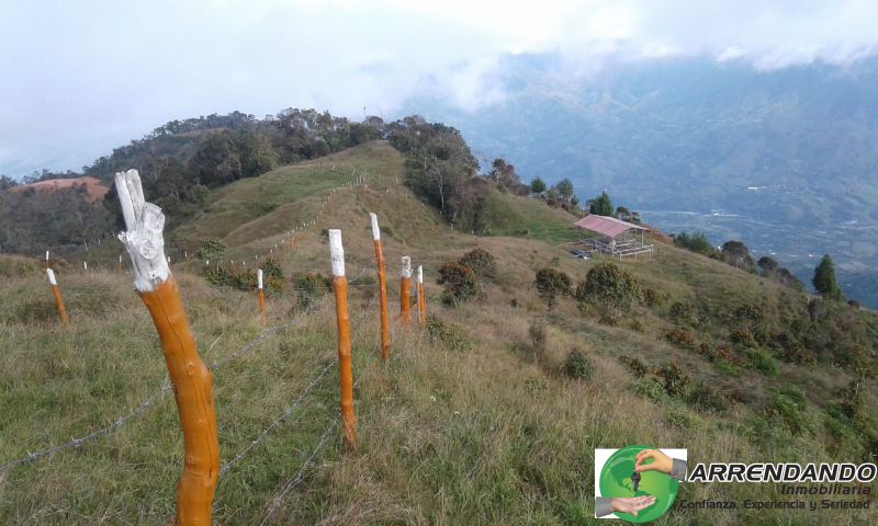 Lote en venta Antioquia Don Matías Don Matias 6400 m2 Habitaciones 0 Baños 10 Garajes 1 Precio $150000000