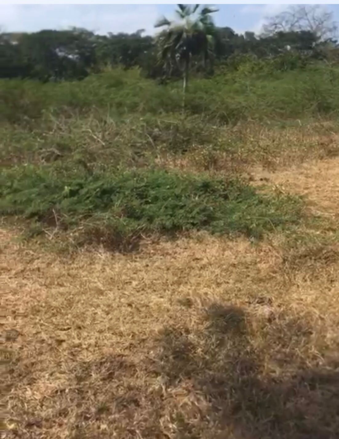 Lote Urbano en venta Bolívar Cartagena Otros 0 m2 Habitaciones 0 Baños 10 Garajes 1 Precio $800000000